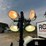 2019-allmand-bros-night-lite-v-series-image-10
