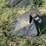 12in-mini-excavator-tooth-bucket-image-4
