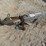 vehicle-tow-dolly-image-6