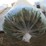 3.3'-x-49.2'-artificial-turf,-drainage-holes-w/rub-image-3