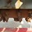 asphalt-zipper-az360-image-8