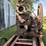 blackbear-25-hp-engine-on-cart-image-6