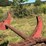 #195-•-log-deck-image-18