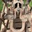 5hp-galloway-image-20