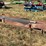 #227-•-belt-conveyor-image-3