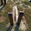 #104-•-set-of-42"-pallet-forks-image-3