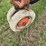 allis-chalmers-ca-image-8