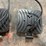 #5547-•-(2)-led-work-lights,-3.5"-square,-12/24vdc-(pr10)-image-6