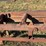 #222-•-live-rollcase-image-9