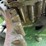 65hp-case-steam-engine-image-9
