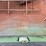 #1012-•-brett-420-grain-cart-image-32