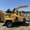 tree-service-liquidation-auction-image