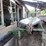 #159-•-log-trough-image-1