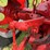 farmall-460-diesel-image-52