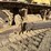 fiat-allis-14c-image-46
