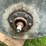 woolery-engine-image-9