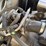 2007-polaris-ranger-xp-image-26