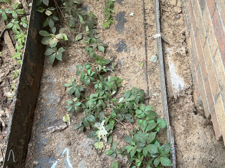 #157-•-belt-conveyor-image-5