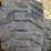 caterpillar-242d3-image-42