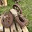 3hp-stover-image-2