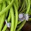 #21156-•-semi-air-hoses-image-4
