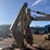 caterpillar-245-image-5