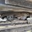 2020-doonan-drop-deck-image-9