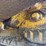 john-deere-300-image-40