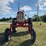farmall-350-diesel-high-crop-image-4