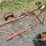 #2068-•-allis-chalmers-2b-pull-plow-image-18