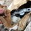 #21157-•-belt-tensioners-image-15