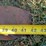 #105-•-set-of-42"-pallet-forks-image-6