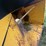 #1415-•-gomaco-3600-image-105