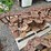 #2039-•-grouser-12"-steel-skid-steer-tracks-image-12