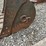 #2038-•-cp-23"-excavator-bucket-image-12