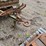 #2072-•-military-tag-trailer-image-9