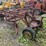 #2010-•-illinois-s-15a-pull-type-8'-grader-image-5