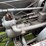 little-bull-tractor-image-19