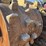 caterpillar-836-image-62
