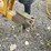 #2024-•-woods-rd107-rotary-cutter-image-9