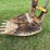 ford-backhoe-image-6