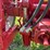 farmall-340-image-53