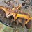 #2061-•-caterpillar-mr1628-pull-type-stump-disk-image-6