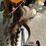 #5521-•-long-log-chain-(cw)-image-5