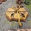 #2085-•-woods-dl84-2-3pt-rotary-cutter-image-4