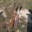 #106-•-set-of-42"-pallet-forks-image-1