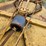 #2085-•-woods-dl84-2-3pt-rotary-cutter-image-10