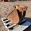 #8206-•-5-tooth-excavator-bucket-image-6