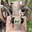 1.5hp-mccormick-deering-ihc-m-image-11