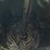 #200-•-balcrank-heavy-duty-air-grease-image-12